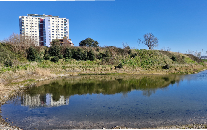 HOMEPAGE-About-Us-IMAGE-3